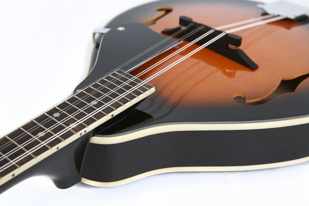 Tenson Electro Mandolin