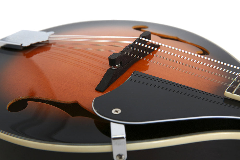 Tenson Electro Mandolin