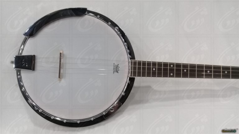 GEWA 4 String Banjo