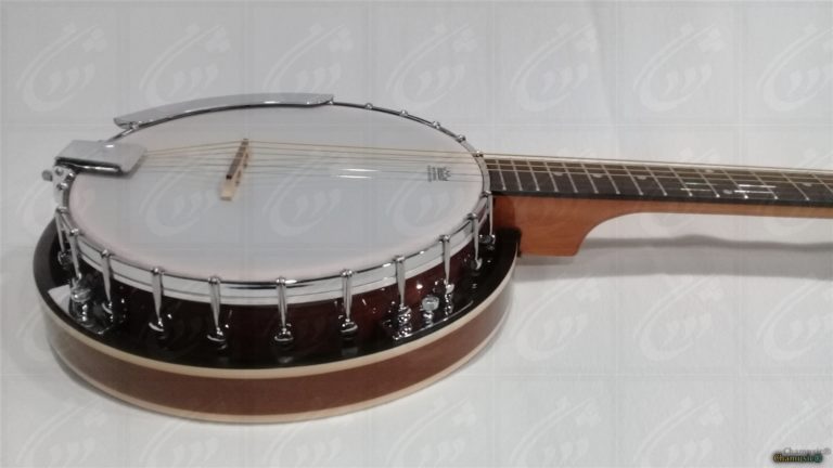 GEWA 6 String Banjo