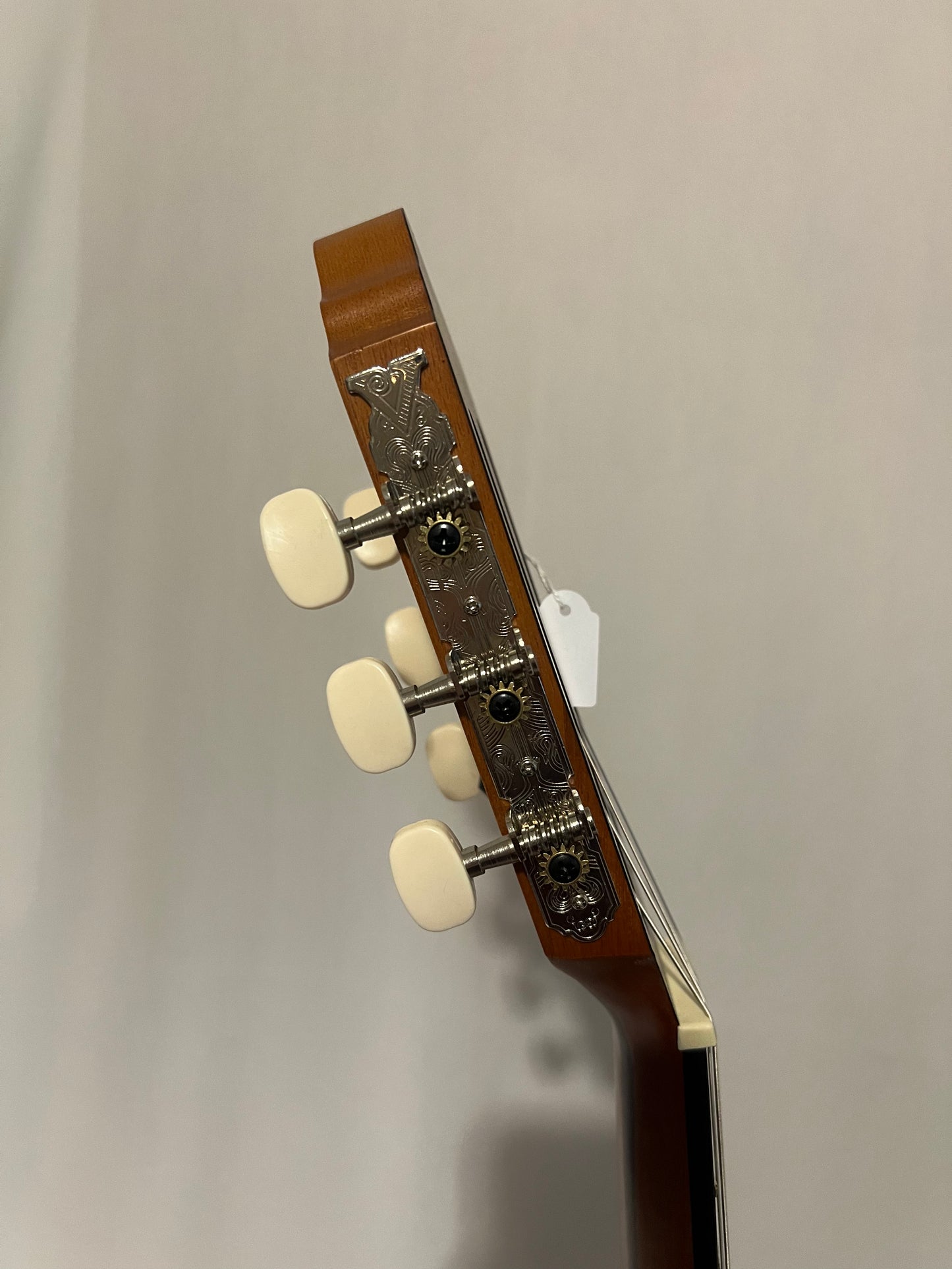 Guitar - Valencia Neck End