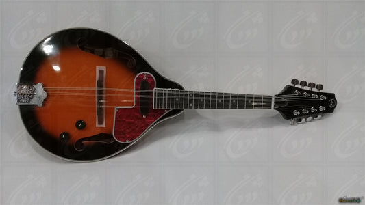 VGS Electro Mandolin