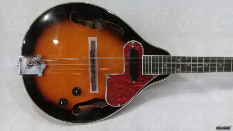 VGS Electro Mandolin