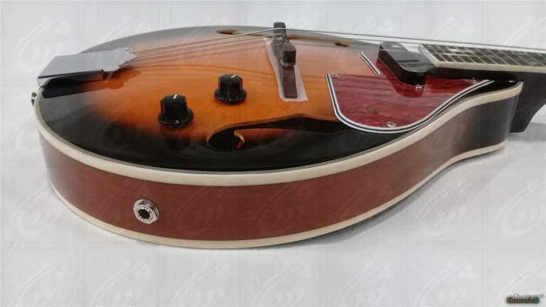 Mandoline VGS Electro