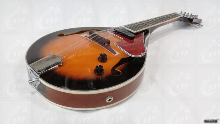 VGS Electro Mandolin