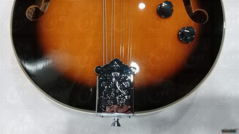 VGS Electro Mandolin