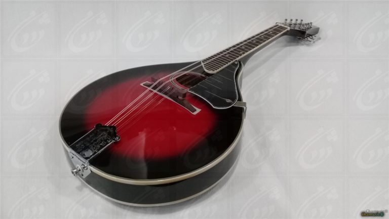 Tenson Mandolin