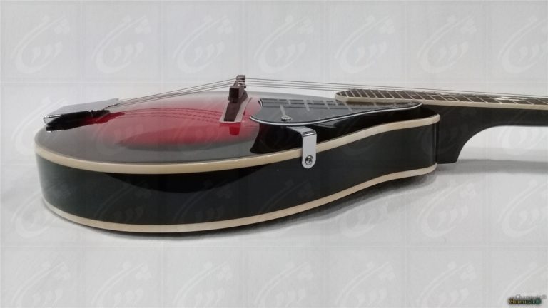 Tenson Mandolin