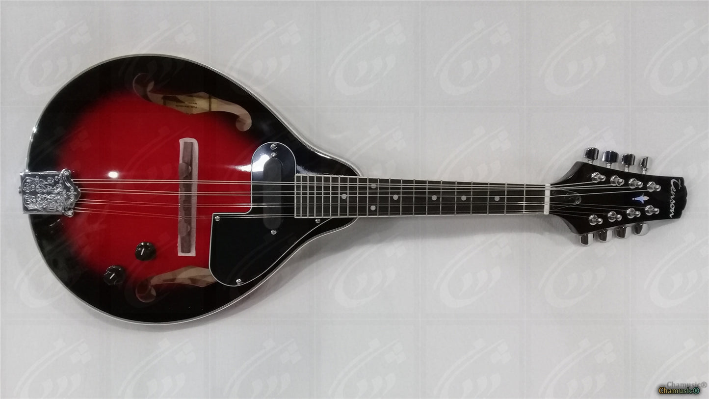 Tenson Electro Mandolin