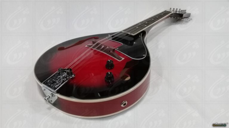 Tenson Electro Mandolin