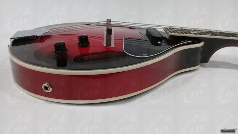 Mandoline Tenson Electro